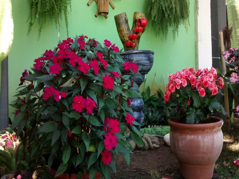 Pousada Flora Búzios Exterior foto